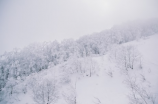 新疆暴雪：今年冬季首轮强降雪